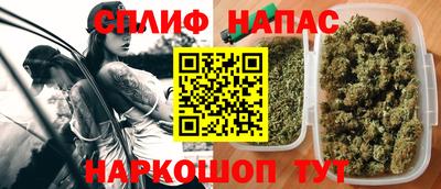 МДПВ Будённовск